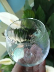 Royal Leerdam-Netherland Clear 7.3oz Radiance Swirl Optic 4″ Brandy Glass VGUC
