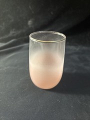 Vintage Pastel Frosted Gold Rimmed Juice Glasses Set Of 8