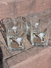 Set of 4 Vntg David Maass Bird Water Fowl Duck Tumbler Glasses Four Wilderness