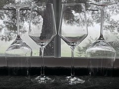 4 Schott Zwiesel Crystal Wine Glasses Pure Collection Stemware 9.5” Excellent