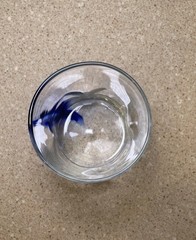 Libbey Blue Ribbon Dimple Rocks Glass