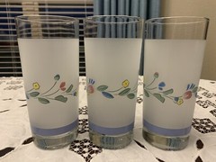 RARE Floral Expressions 16 OZ FROSTED GLASS TUMBLERS JAPAN Hearthside SET OF 3