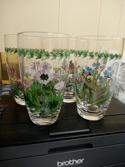 Portmeirion Botanic Garden 5 7/8″ Hand Painted Highball Tumblers (4 Different)