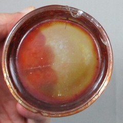 FENTON APPLE TREE MARIGOLD CARNIVAL GLASS TUMBLER LR