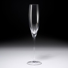William Yeoward Olympia Clear Crystal Champagne Flute Glass 4pc Lot 12″h