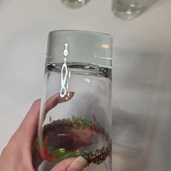 Christopher Radko Holiday Celebrations Holly Ribbon Xmas 15oz Cooler Tumblers