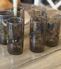 6 Libbey Tawny Garden Party Tumbler Butterfly Vntg Monarch glasses 1970’s Read
