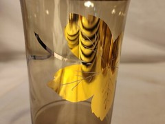 MCM Drinking Glasses Holly Set Of 6 Highball