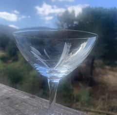 Vintage Etched Wheat Pattern Clear Glass MCM Crystal Champagne Glasses Set of 3