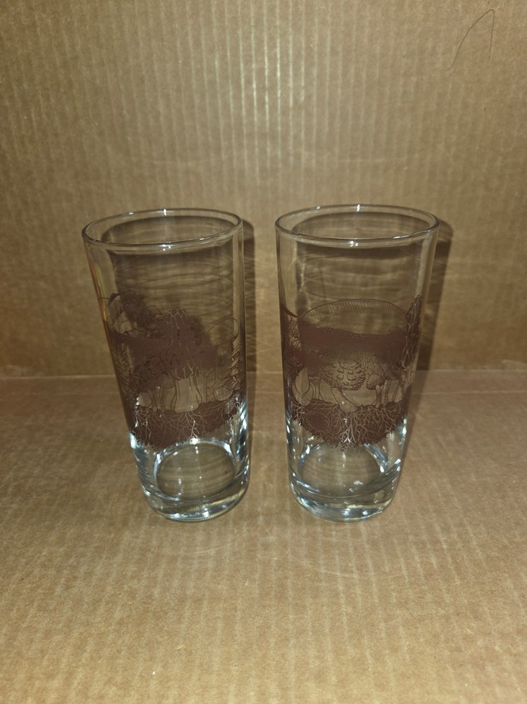 Glasses Down to Earth Basics «Mushrooms» x2