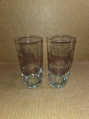 Glasses Down to Earth Basics «Mushrooms» x2