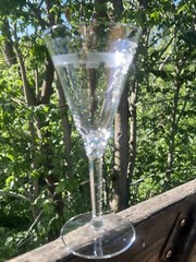 Seneca Crystal RICHELIEU 8 3/8” Art Deco Water Wine Goblets Stem Goblets (4)