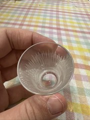 Salviati Murano Single Hand Cut Etched Shot Glass