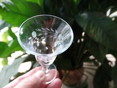 Pioneer Clear Glass Japan Gray Wheel Cut Willow Moon .7oz Cordial Stem 3.75″ EUC