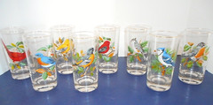 West Virginia Glass Set of 8 AMERICAN SONGBIRDS 15oz Tumblers Highballs