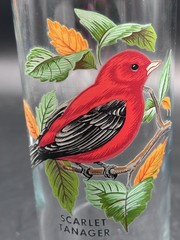 West Virginia Glass American Songbirds Lot Of 3 12 oz Tumblers 6 3/4″