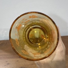 Vintage Amber and Floral Juice Glass Water Glasses Set of 3