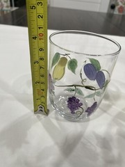 Hand Painted Tumble Up Glass Bedside Carafe & Glass Set Pears, Plum & Grapes