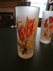 Vintage MCM Botanical Flower Frosted Glass 12 oz Set of 3