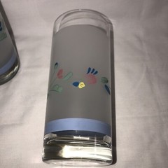 Floral Expressions Frosted Set of Two 16 oz. Glass Tumblers, By Hearthside