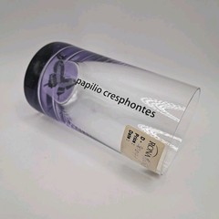RONA Papilio Cresphontes Butterfly Purple Base Drinking Glass 4.5″ VintageVase