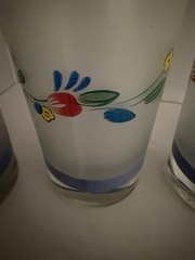 Vintage Floral Expressions 16 OZ FROSTED GLASS TUMBLERS Set of 4 Tumblers