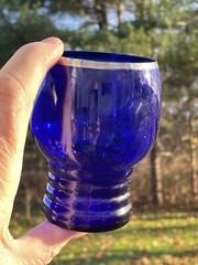 Set 2 Imperial Shaeffer Platinum Trim Tumblers Cobalt Blue Morgantown