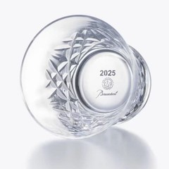 Baccarat Tumbler Aria 2025 Whisky Glass Set of 2 Clear W/Box Brand New Unused