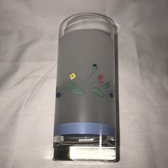 Floral Expressions Frosted Set of Two 16 oz. Glass Tumblers, By Hearthside