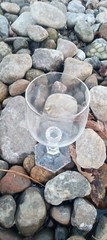Set Of 2 «Maria» by Rosenthal Group Germany «Cassic Rose» Goblets
