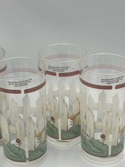 Debbie Mumm Garden Fence Tall Tumblers Acrylic Set Of 6 Sakura Evolution