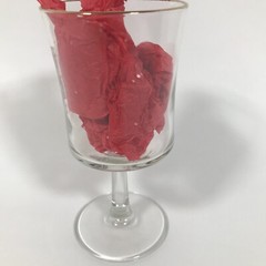 YOUNG Etched Coat Of Arms Family Crest 6.75in X 3.25in Wine Glass Water Goblet