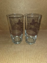 Glasses Down to Earth Basics «Mushrooms» x2