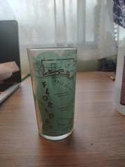 Vintage Hazel Atlas Florida Frosted Glass Tumbler