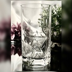 Mikasa Petit Points Highball Glass 5 1/4″ Floral Replacement