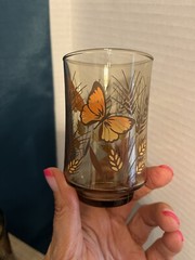 Vintage Libbey Drinking Glasses Monarch Butterfly Wheat Amber Juice Tumblers -3