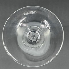 JG Durand Cristal D’Crystal Champagne Flute Arques FLORENCE Frosted Petals