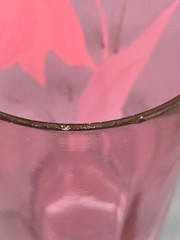 Antique Bohemian Cranberry Glass Tumbler Hand-Painted
