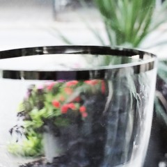KOSTA BODA CONTESSA PLATINUM Sherry 4.5″ tall Made in Sweden NEW NEVER USED