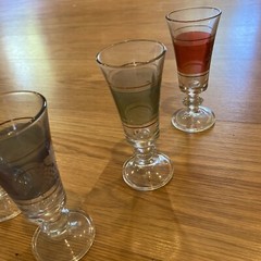 Vintage Lubiana 5″ Stem Wine Sherry Glasses Colorful w/ Gold Band – Grapes