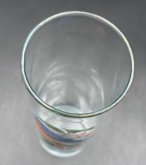 West Virginia Glass American Songbirds Lot Of 3 12 oz Tumblers 6 3/4″