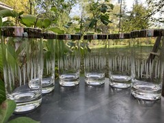 MCM Silver Rim Cut Glass Bar Ware set of six