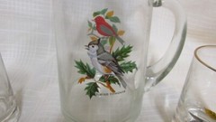 West Virginia Specialty Glass Songbirds 6 PC Set – Pitcher & 5 Juice Glasses