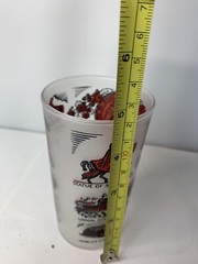 Collectors Missouri State Landmarks Frosted Tumbler Glass Federal Glass Co. Vtg