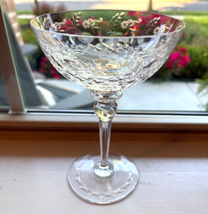 Rogaska Gallia Crystal Champagne, Tall Cocktail Coupe Etched Floral Slovenia 7″