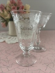 2 Pcs Fostoria Crystal CORSAGE Glass Goblet Etched Tea Goblet & Champagne Coupe