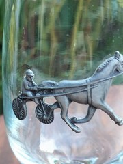 Exclusively Equine Horse Harness Racing/Sulky Driver Glasses/Enamel Graphics
