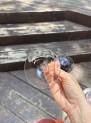 5 Tulip Wine Glasses Colored Glass Unmarked 9 1/2 in
