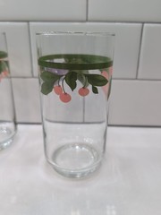 Pfaltzgraff Garden Party Impressions 5 5/8” Glass Tumbler Set of 4 Tulips