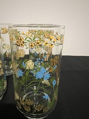 Set Of 7- Libbey Corelle Spring Meadow 10 oz Tumbler Glasses- 5 1/4» EUC Floral